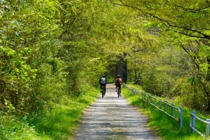 自転車乗りにおすすめのレインウェア12選！メンズ／レディース別に紹介 