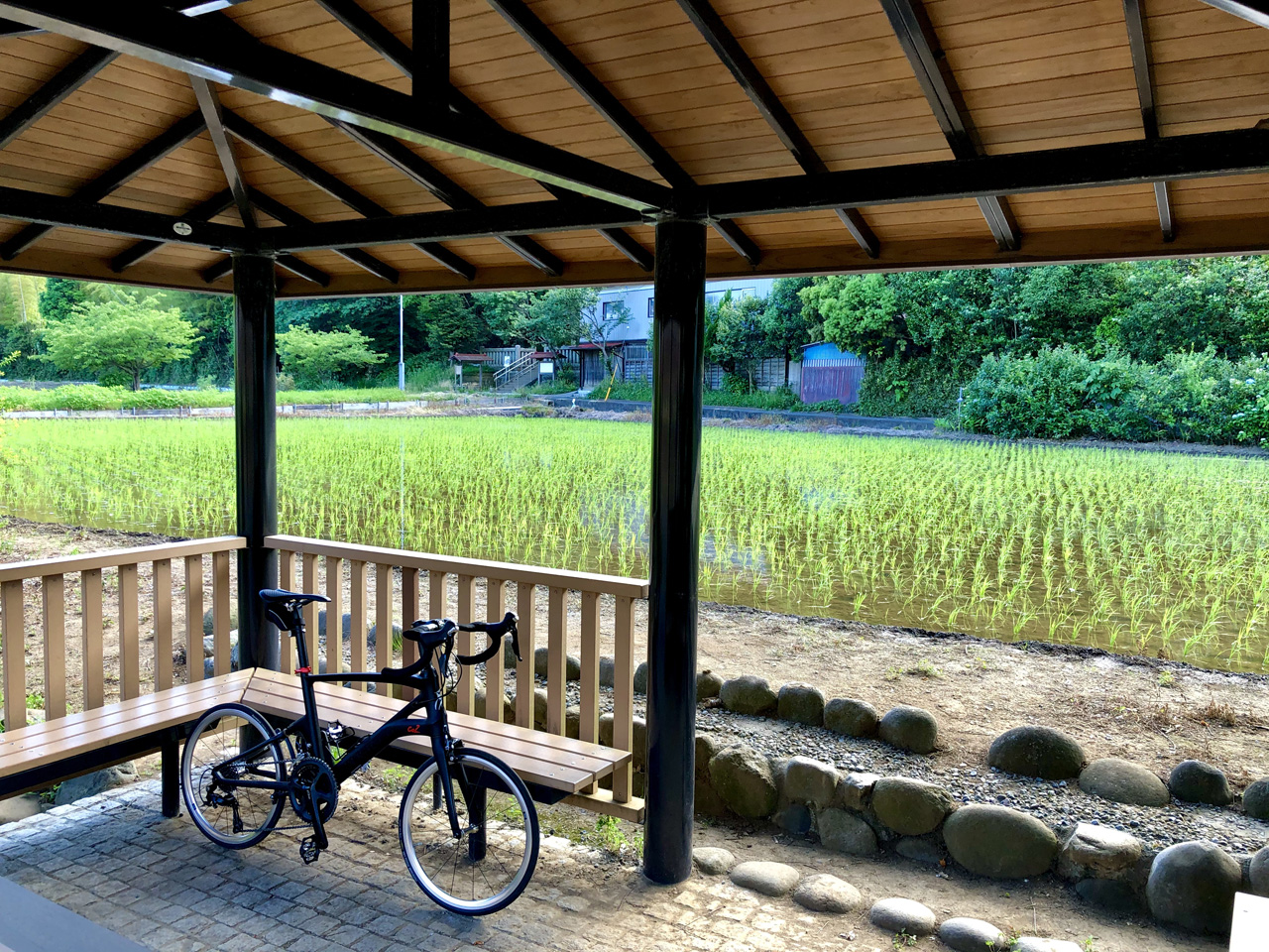 独りのんびり自転車散歩。サイクリングで地元の魅力を再発見