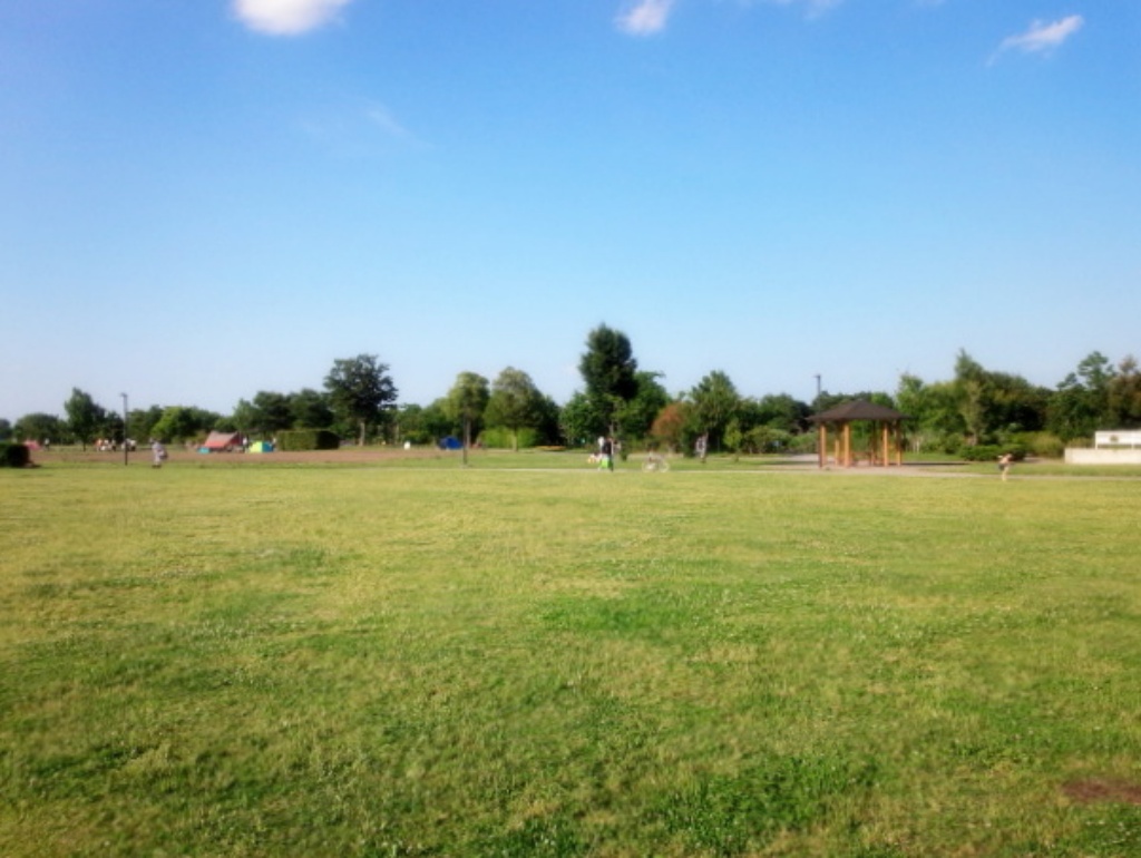 埼玉県 サイクリストの休憩に まつぶし緑の丘公園にはサイクルラックが設置されています Tabirin たびりん