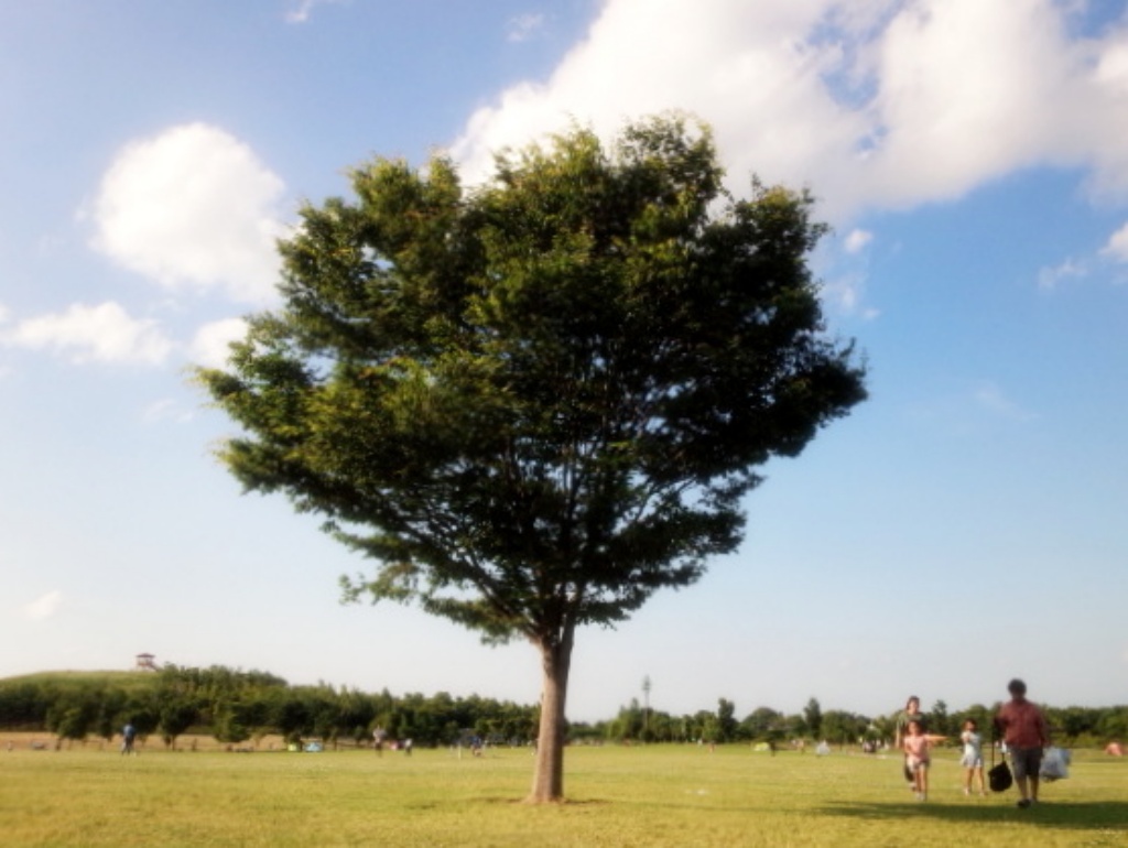 埼玉県 サイクリストの休憩に まつぶし緑の丘公園にはサイクルラックが設置されています Tabirin たびりん