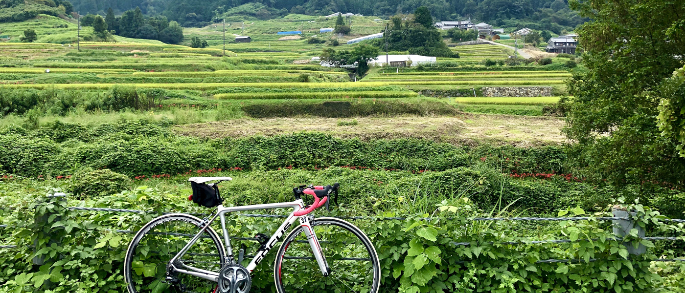 【奈良県】奈良健康ランドから秋の明日香村 棚田散策へ