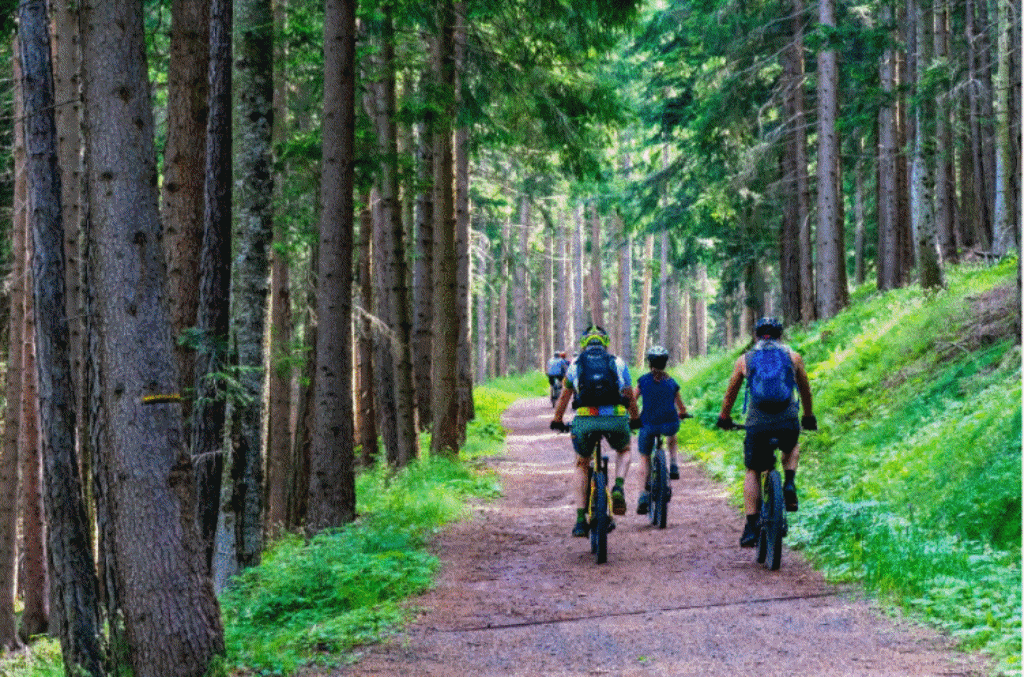 MTB (マウンテンバイク)ってどんな自転車?シーンに合わせた選び方も