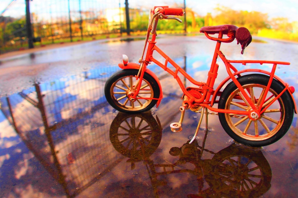 家族 カップルで楽しもう おもしろ自転車に乗れる公園をご紹介 Tabirin たびりん
