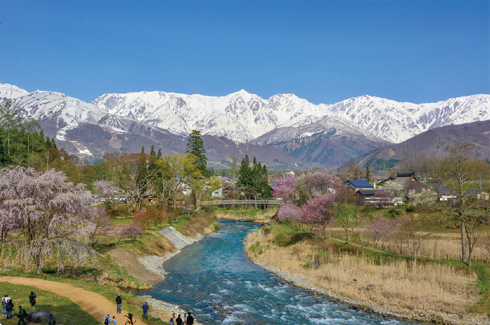 Tsugaike Scenic Route with Various Blooms