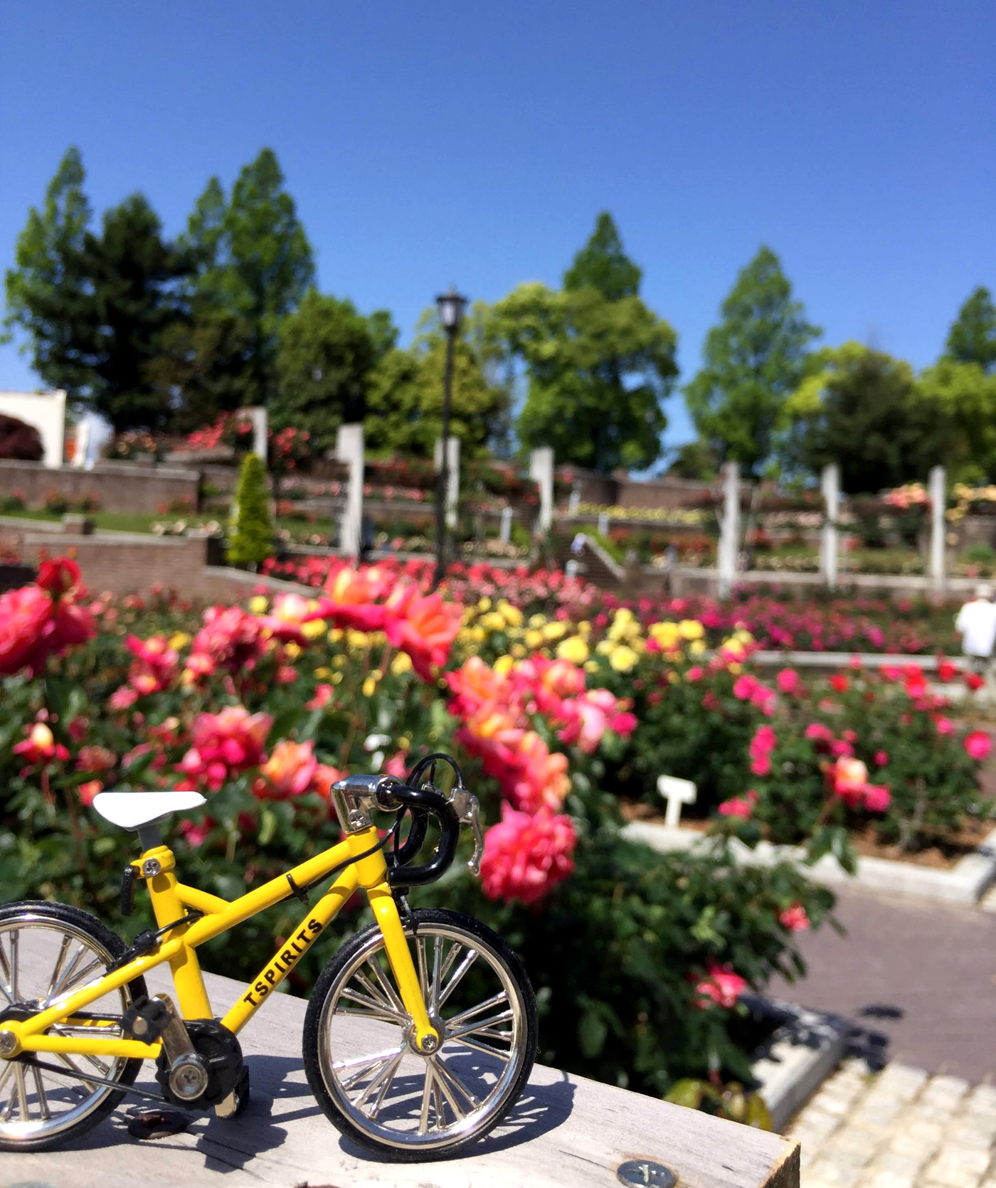 スポーツ自転車を１００ 楽しむ本