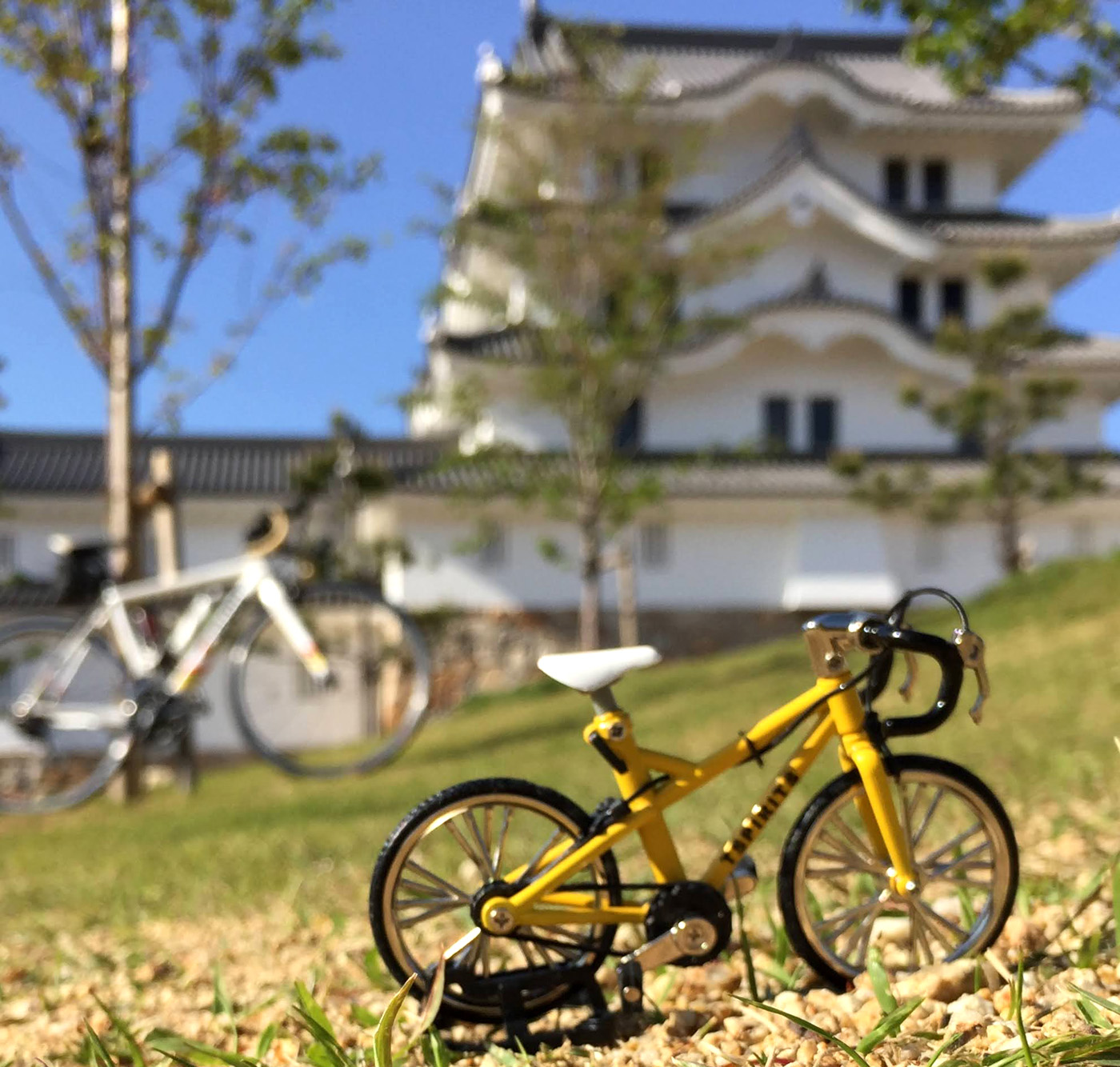 スポーツ自転車を１００ 楽しむ本