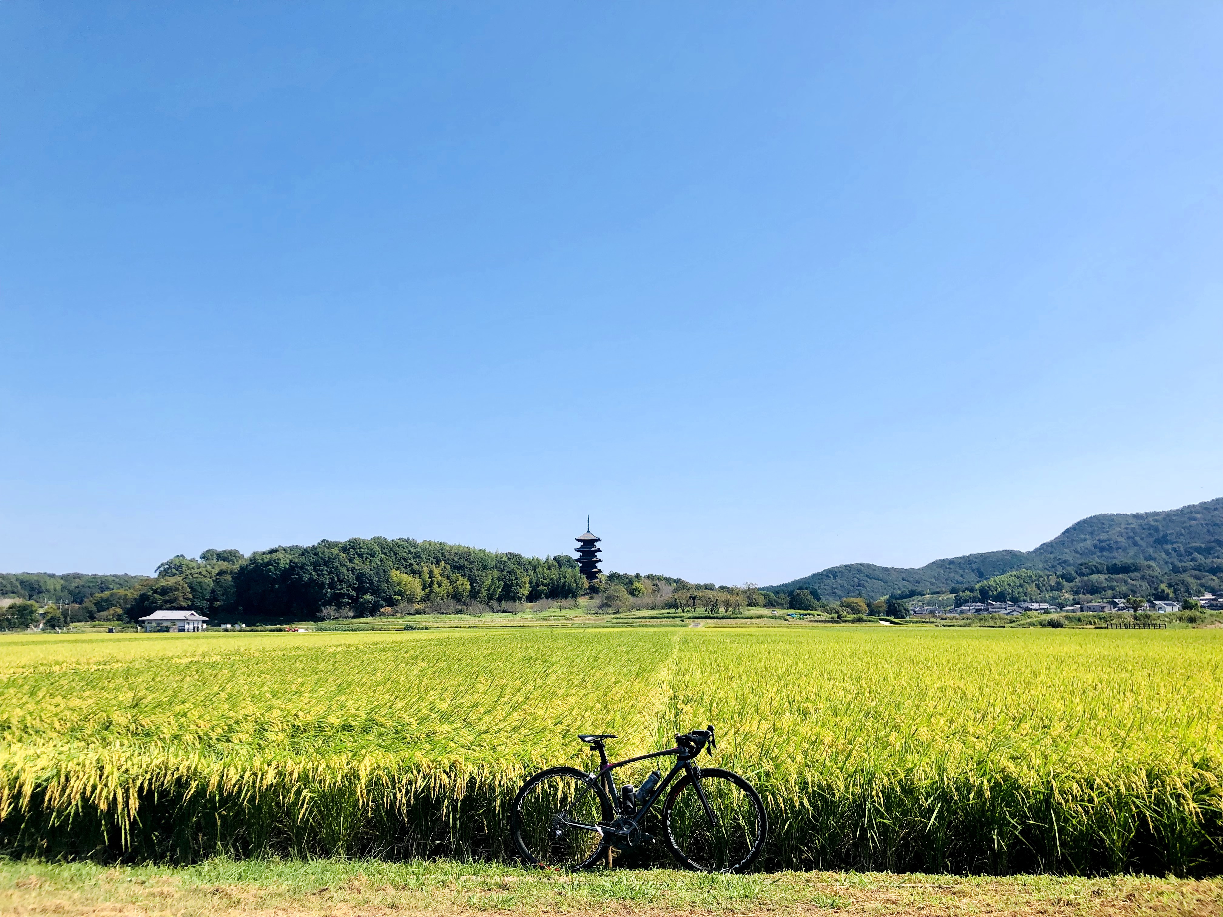 【岡山県】吉備路自転車ルートで秋を感じるサイクリング