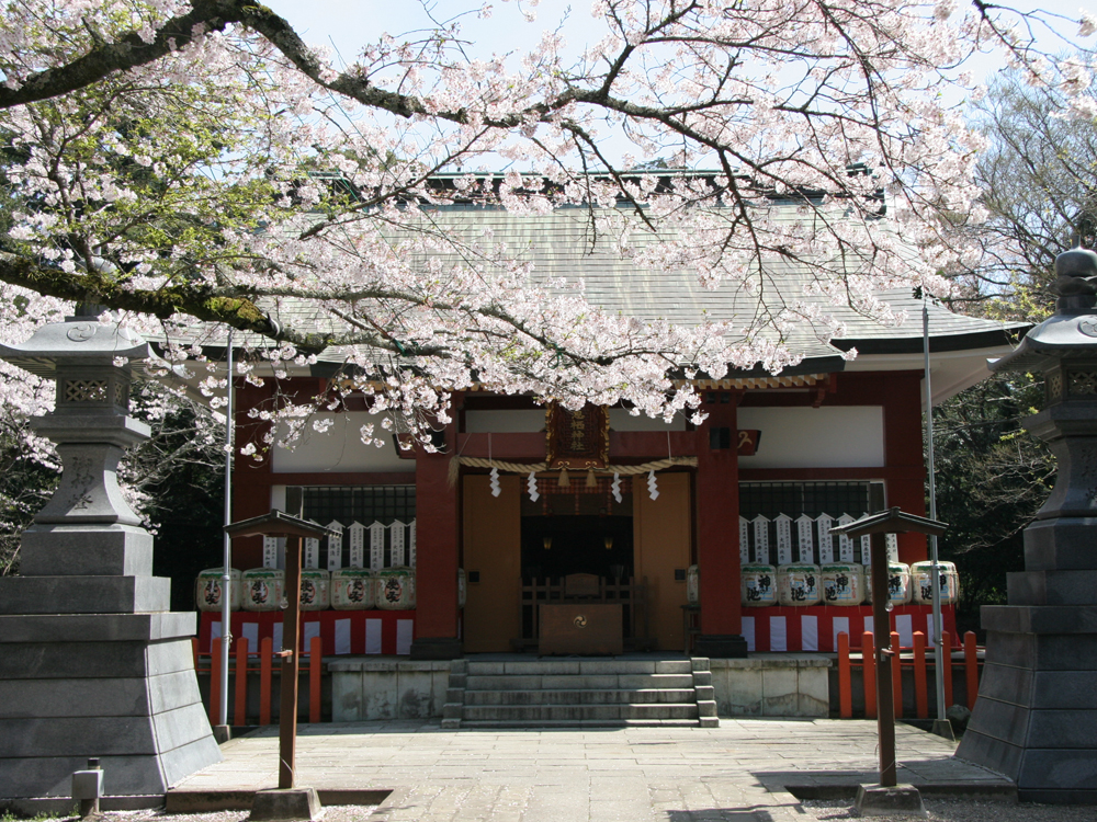 歴史と潮風・川風感じる春の桜見コース