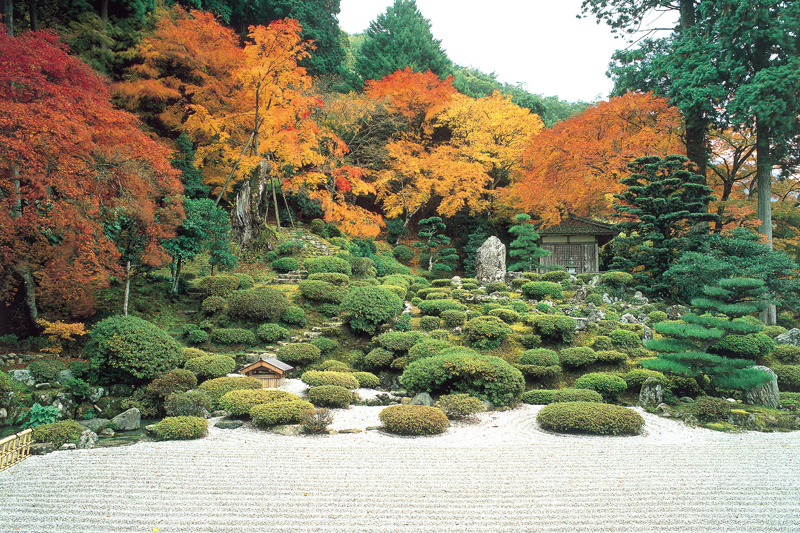 日本遺産 鯖街道沿線 寺社めく?りコース～「海のある奈良」と呼は?れる小浜 里山の古刹を訪ねて～