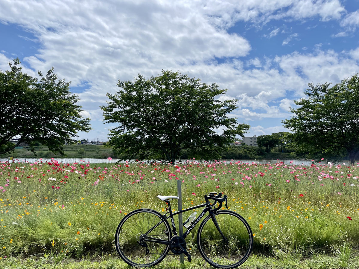 Orange てひどい PPC112（茨城県下妻、つくば、土浦周辺にて手渡し可）