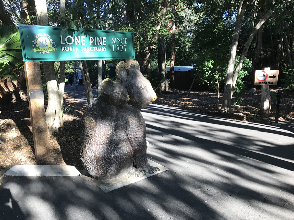 【オーストラリア】日本から参加しやすさ抜群!ブリスベンtoゴールドコーストサイクルチャレンジ TABIRIN(たびりん)