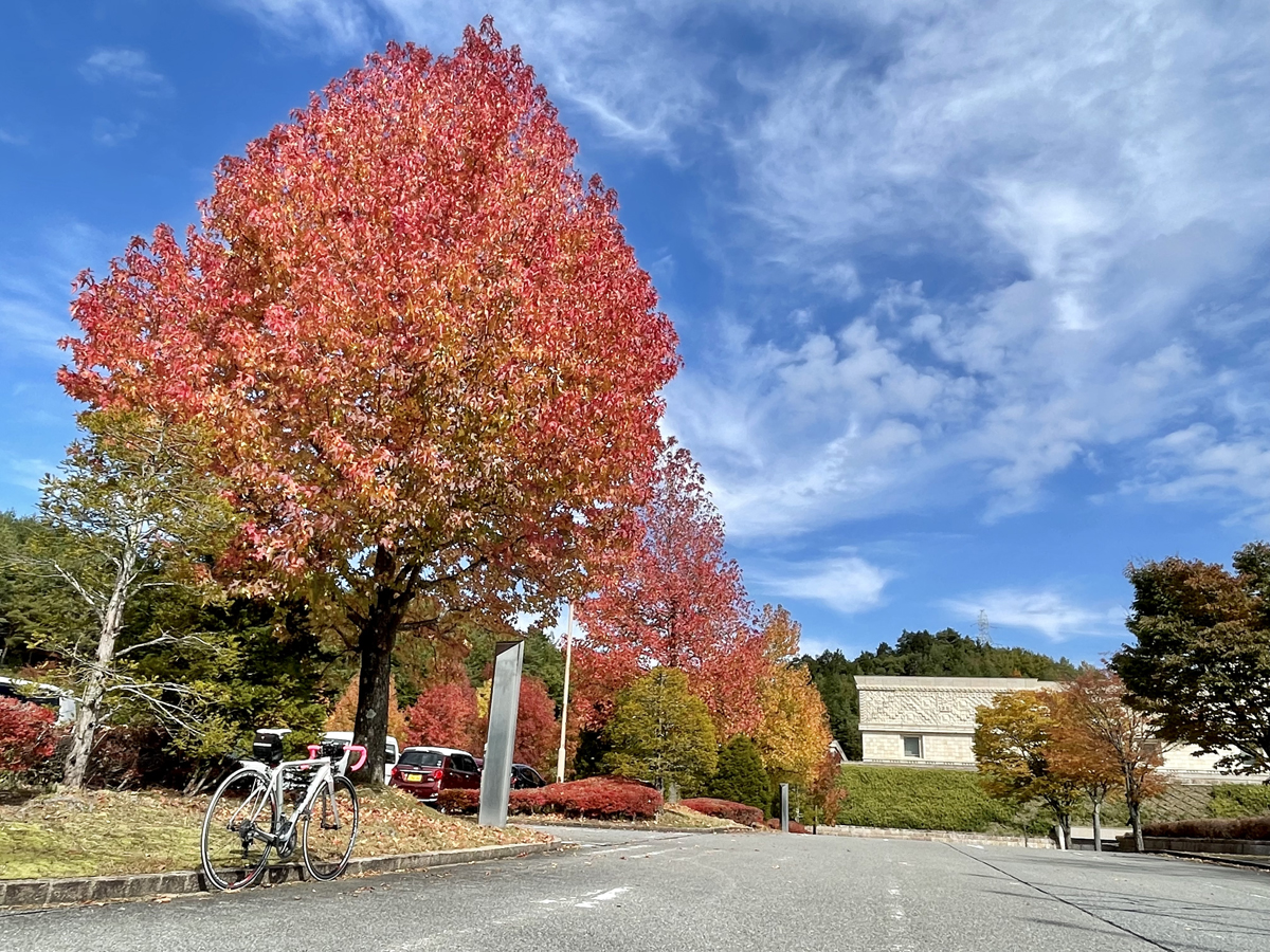 高山サイクリング