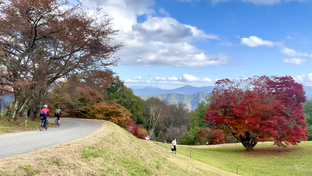 【長野県】北アルプス地域サイクリングモデルコース、秋の美しい景色堪能66kmサイクリング《PR》