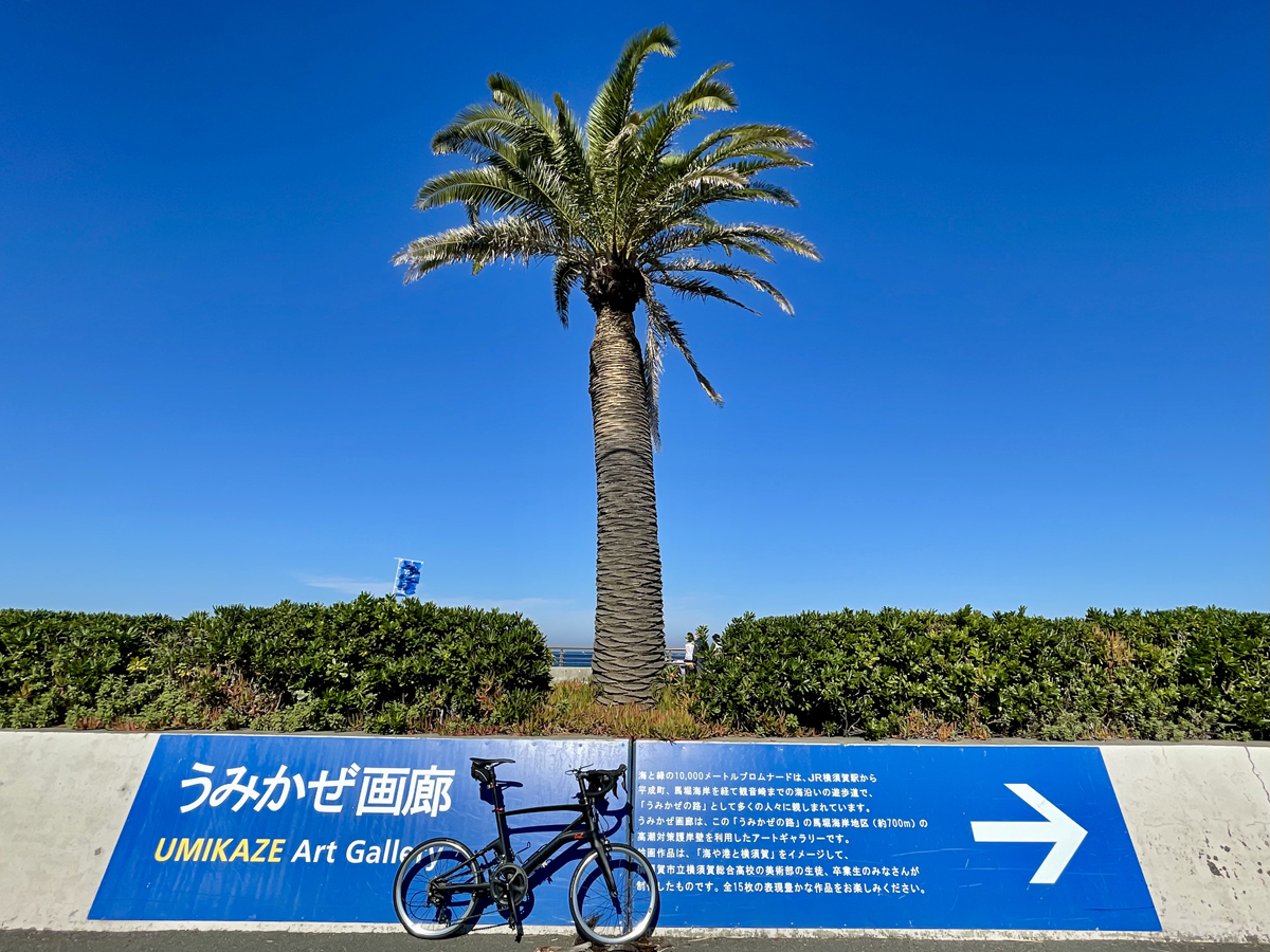 【神奈川県】TABIRIN MAPで行く1泊2日「三浦半島一周」74kmサイクリング