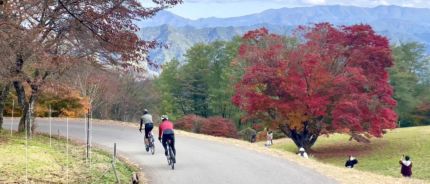 【長野県】北アルプス地域サイクリングモデルコース、秋の美しい景色堪能66kmサイクリング《PR》