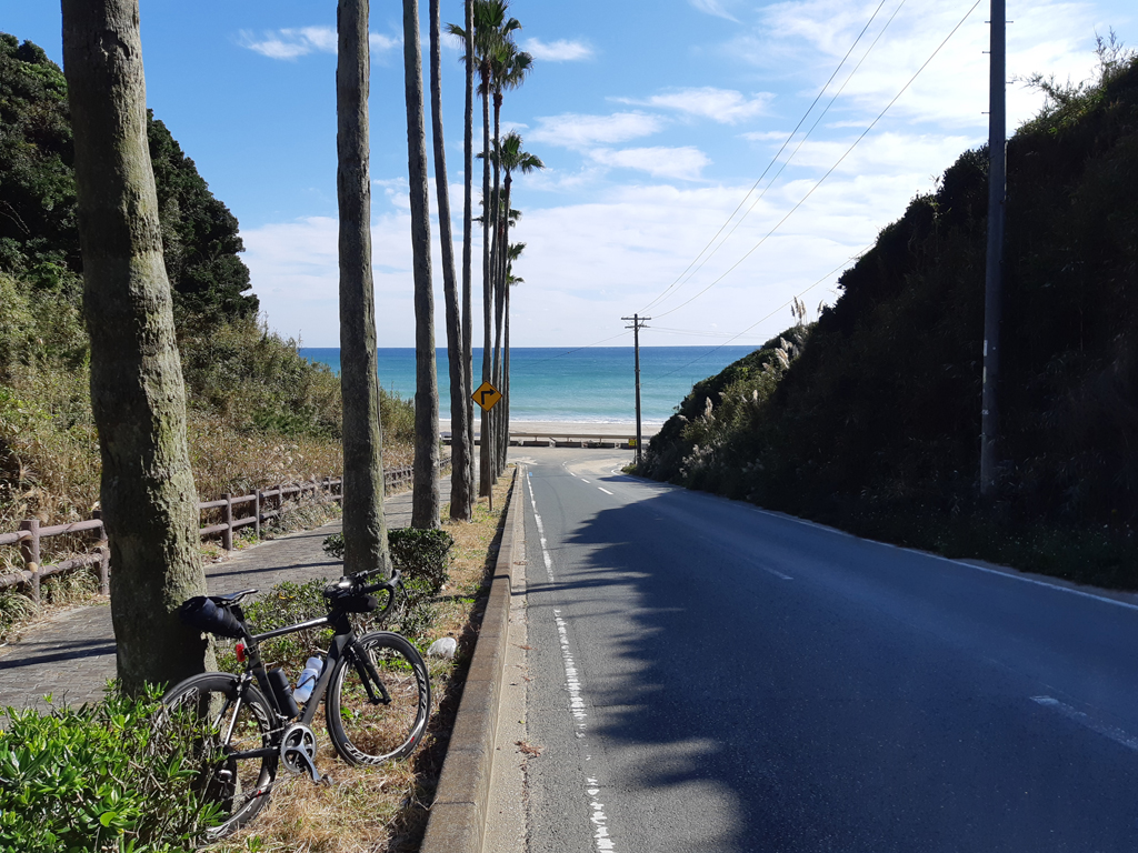 太平洋岸自転車道実走調査⑩愛知県：豊橋から伊良湖までの道路状況や走行ポイントを解説