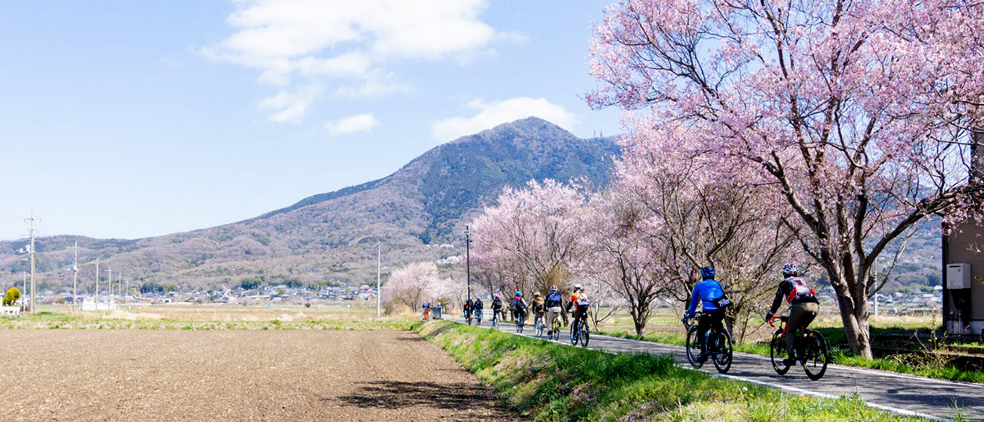 【茨城県】筑波山麓の桜を満喫！つくば霞ヶ浦りんりんロードサイクリング