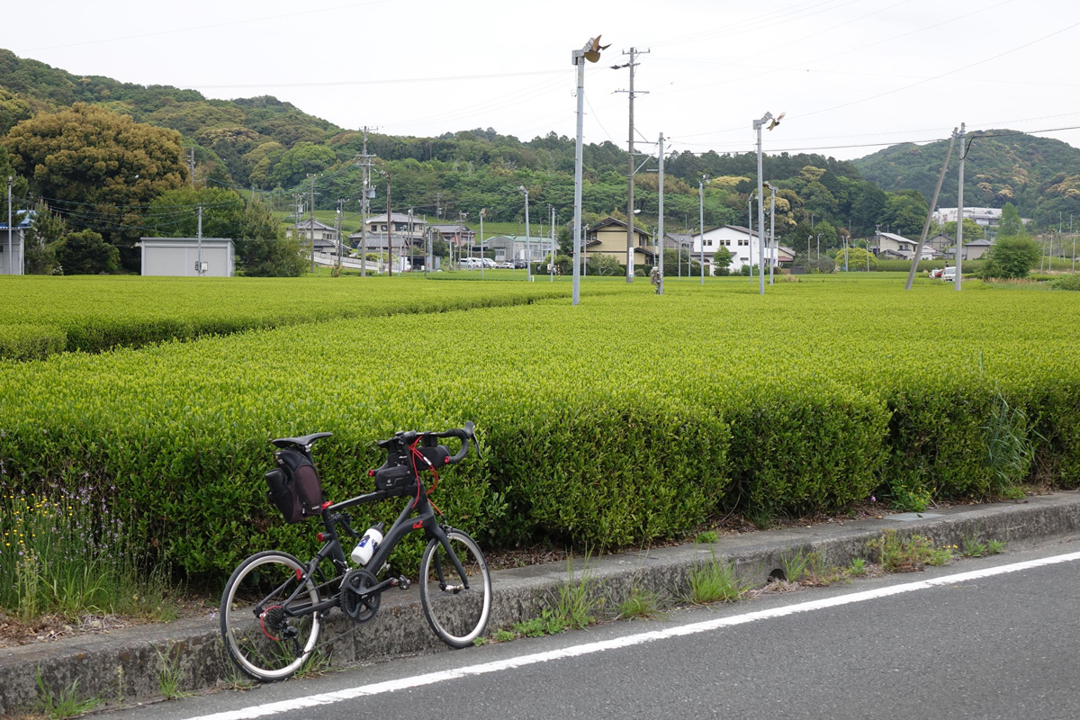 【静岡県】大河ドラマで再注目。家康ゆかりの寺と城、町並みを巡る39kmのサイクリング