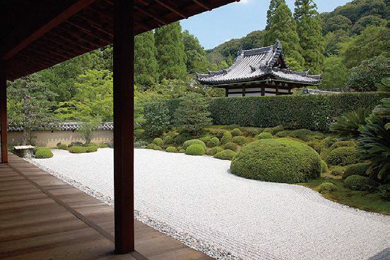 京田辺　日本遺産　飯岡の茶畑と一休寺