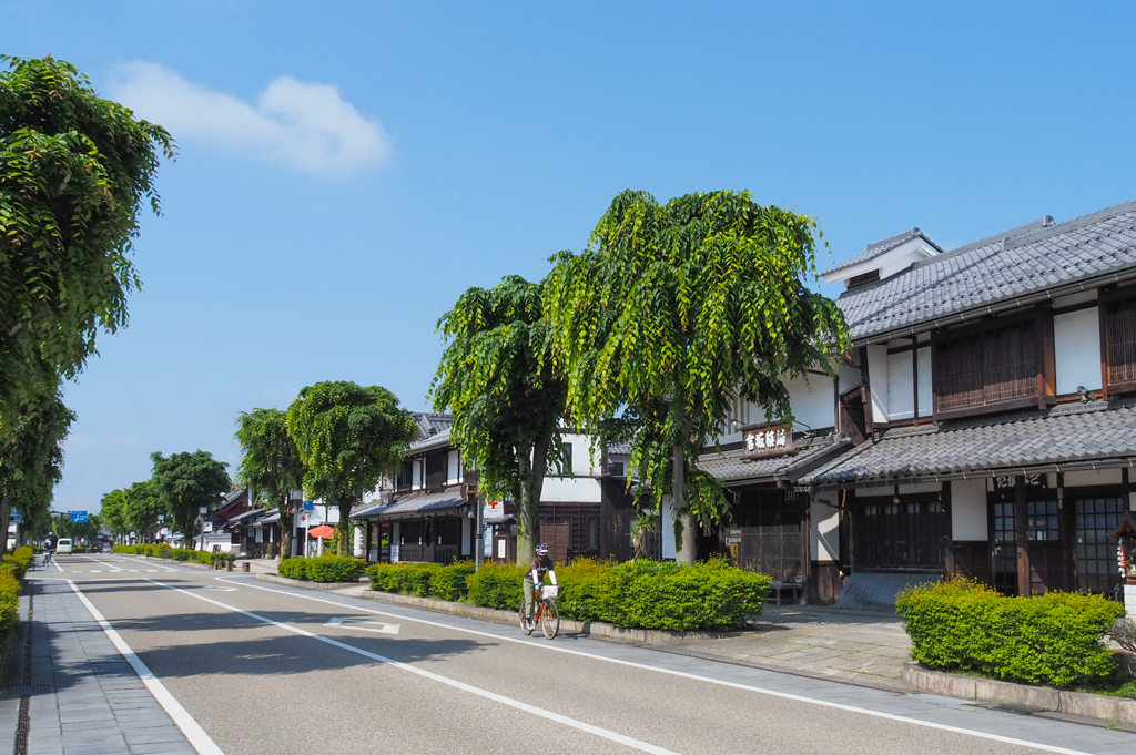 【滋賀県】彦根の歴史探訪と旧中山道の宿場をめぐる34kmの初級・中級ポタリング