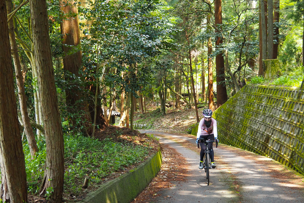 【滋賀県】湖東三山の寺社仏閣と太郎坊宮をめぐる初・中級サイクリング