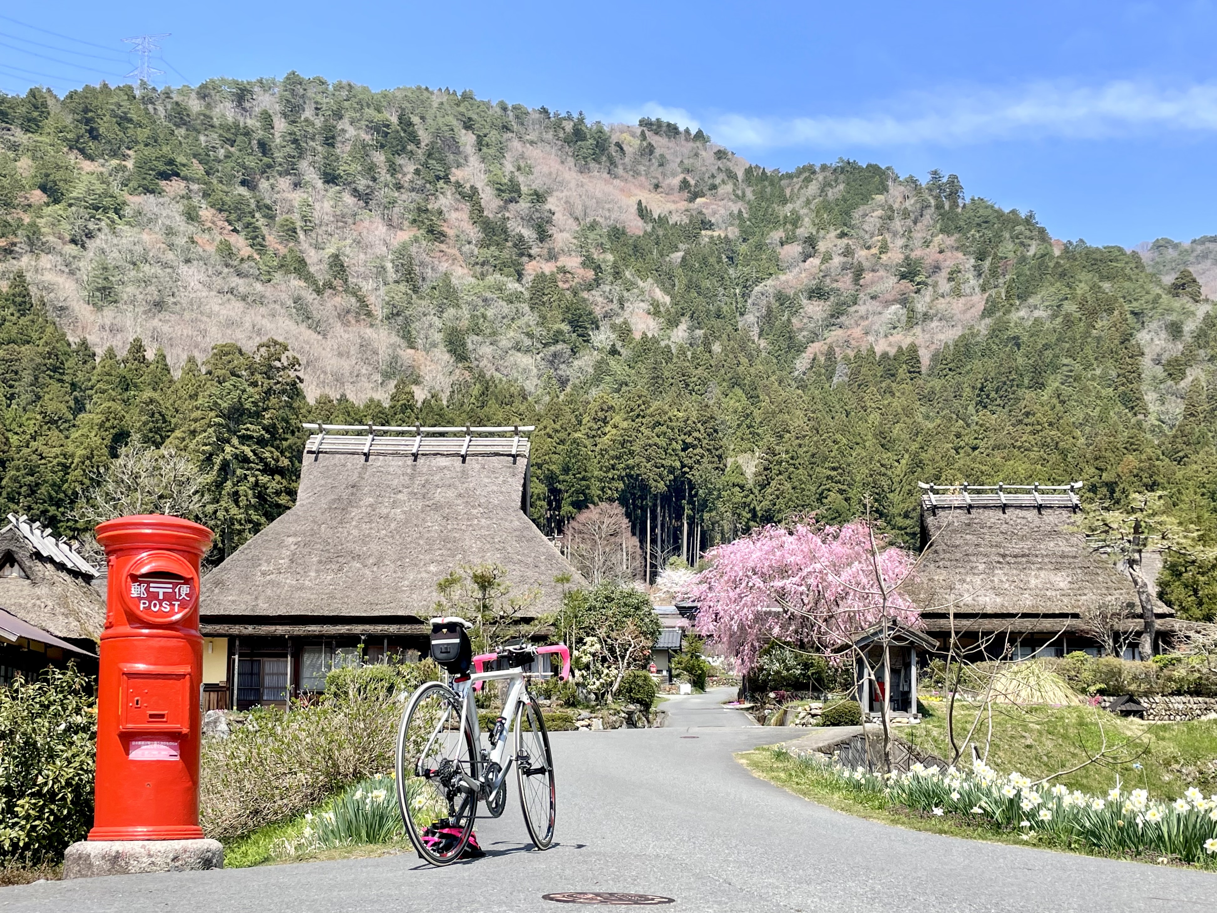 【京都府】サイクリングの聖地・美山で”かやぶきの里”と川沿いの桜を楽しむ20kmサイクリング