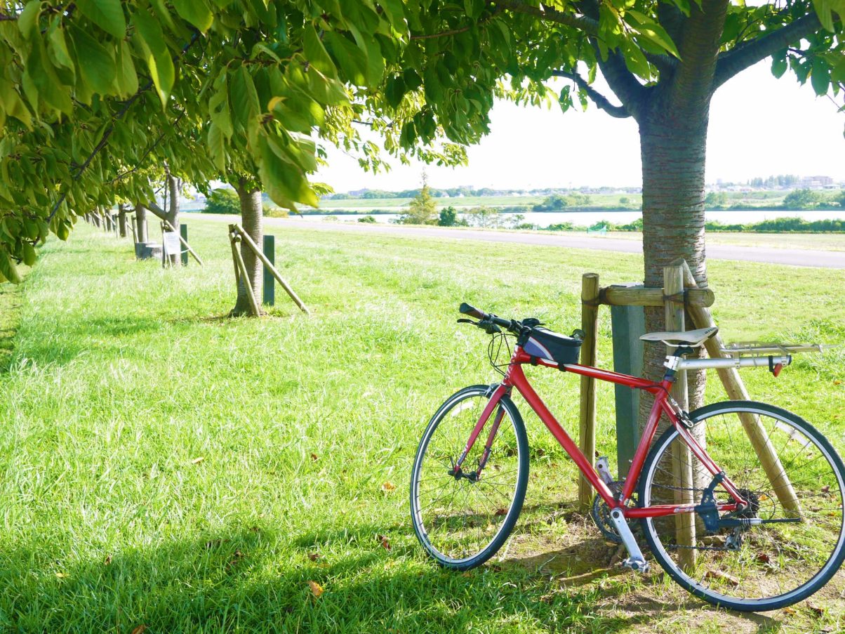 「あっ忘れた」とならないように。自転車の防犯登録時に必要なものと注意点