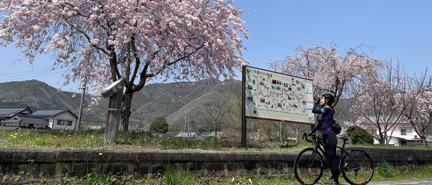 春の桜を満喫! お花見サイクリングコースおすすめ8選!