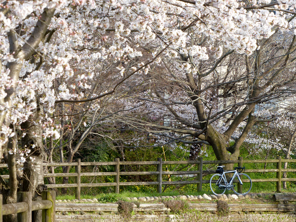 奈良県のサイクリングコースおすすめ7選!  TABIRINで見つける奈良の魅力を満喫！