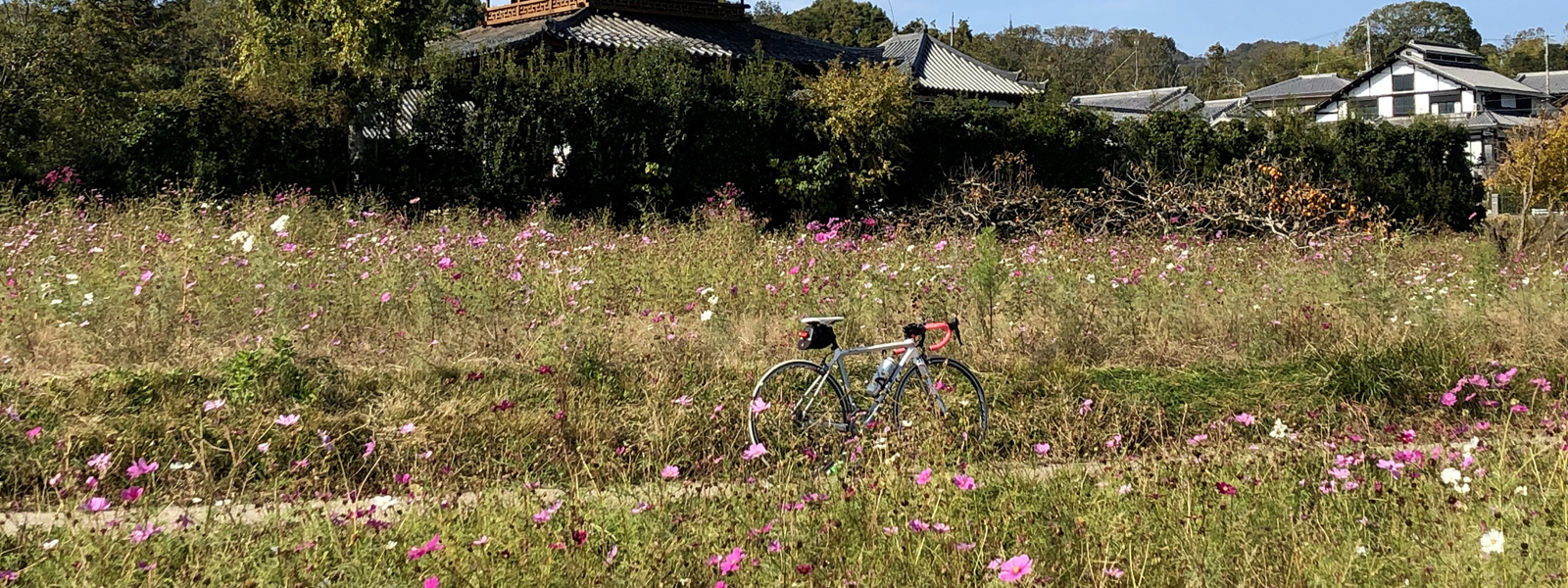 関西から行く秋のおすすめサイクリングコース13選