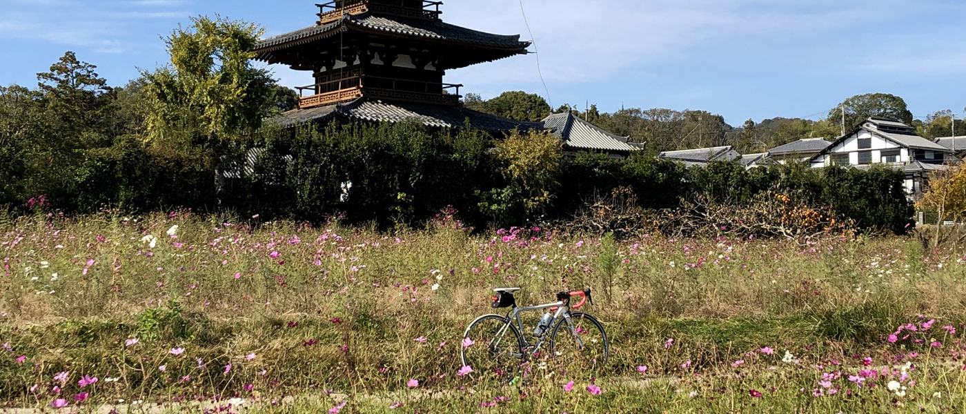 関西から行く秋のおすすめサイクリングコース13選