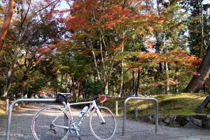 秋のサイクリングおすすめコース9選!TABIRINで見つける絶景ライド