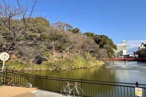 【大阪府】大阪五低山をめぐる25km（獲得標高92m）の大阪アルプス サイクリング