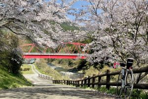 春の桜を満喫! お花見サイクリングコースおすすめ8選!