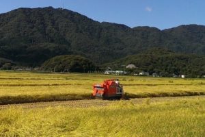 【新潟県】下町ロケットの撮影場所となった新潟県燕市と弥彦村を周遊