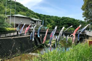 星の里いわふね（交野市立いわふね自然の森スポーツ・文化センター）①