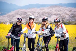 春はもうすぐ！桜サイクリングにおすすめのコース・スポットをご紹介！