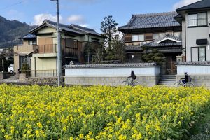 【京都府】田園風景・河川景観・竹林景観を楽しみながら、寺社を巡って、気分爽快 ～西京・洛西サイクルツーリズム～