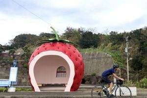 【長崎県】諫早市の「フルーツバス停」と日本の名水「轟渓流」