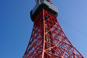 東京タワー×サクラが美しい！東京のお花見/桜情報をご紹介