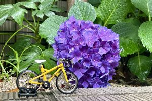 ガチャミニバイクで楽しむ、梅雨時の自転車ライフ