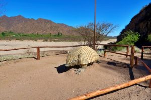 【アルゼンチン】知られざるベレンの魅力！アルマジロの生息地、ベレン渓谷と高級くるみ農園〜ベレン 観光 3〜