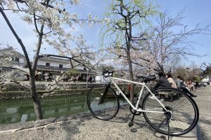 【岡山県】桜の時期の倉敷で絶品パンを求めて約8kmサイクリング