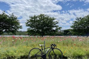 【茨城県】下妻市の風景を楽しみながら街探訪 一人旅サイクリング