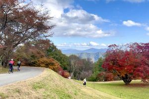 【長野県】北アルプス地域サイクリングモデルコース、秋の美しい景色堪能66kmサイクリング《PR》