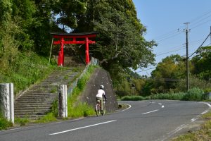【千葉県】「道の駅むつざわ」をスタート＆ゴールとする寺院巡り32kmのサイクリング