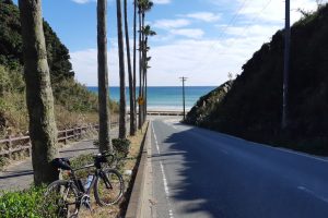太平洋岸自転車道実走調査⑩愛知県：豊橋から伊良湖までの道路状況や走行ポイントを解説