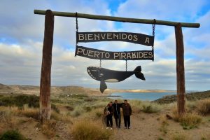 【アルゼンチン】野生のシャチが現れる世界遺産"海洋生物の楽園プエルトマドリン"をご紹介