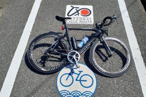 太平洋岸自転車道実走調査⑲ ルート上の珍百景＆おもしろ名所