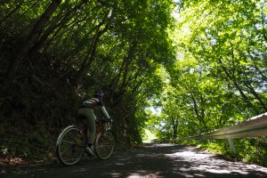 【栃木県】佐野市にある美しい湧水池や林道を走り洞窟をめぐる58kmのサイクリング